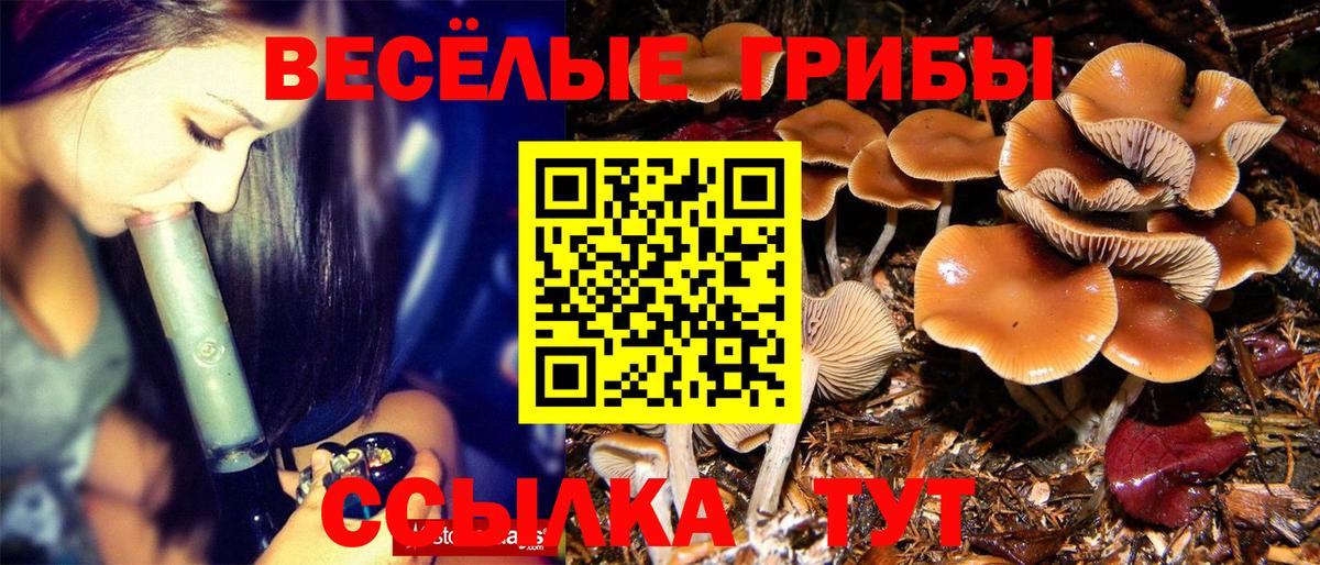 Галлюциногенные грибы MAGIC MUSHROOMS Осинники