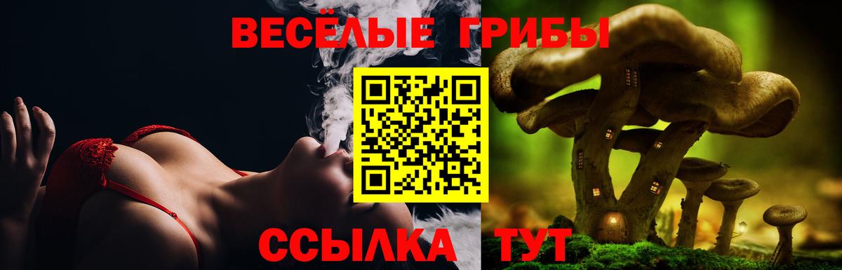 Псилоцибиновые грибы Psilocybine cubensis  Вход с VPN  купить  цена  Осинники 